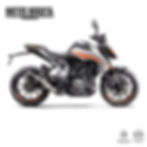 390 DUKE NG